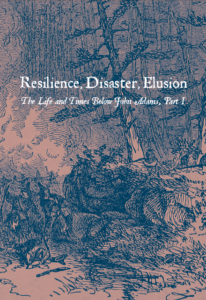 Resilience, Disaster, Elusion