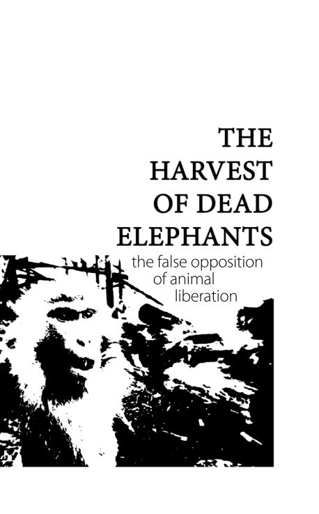 The Harvest of Dead Elephants