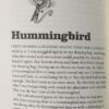 A Desert Pilgram's Bestiary - Image 3