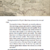 Resilience, Disaster, Elusion - Image 5